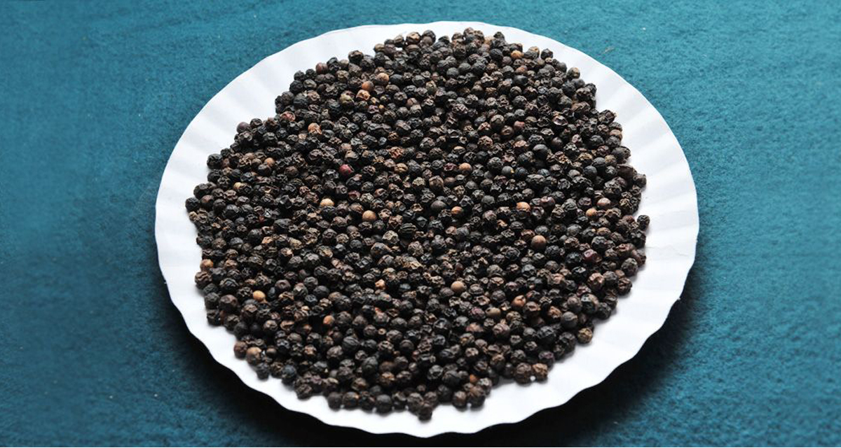 Colombo-Spices-Export-Black-pepper2