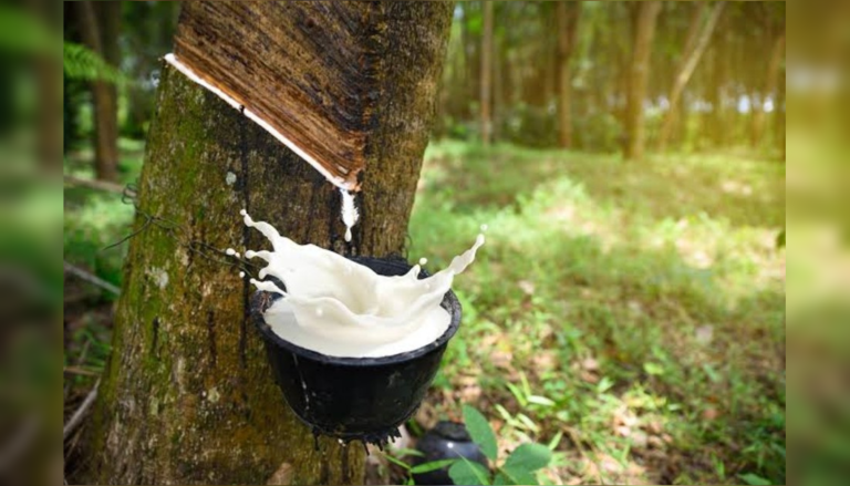 Rubber - Colombo Spices export